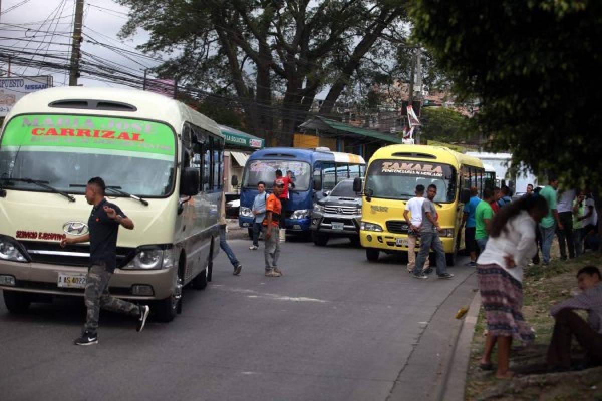 Conductores de buses capitalinos se resisten a cumplir las leyes viales