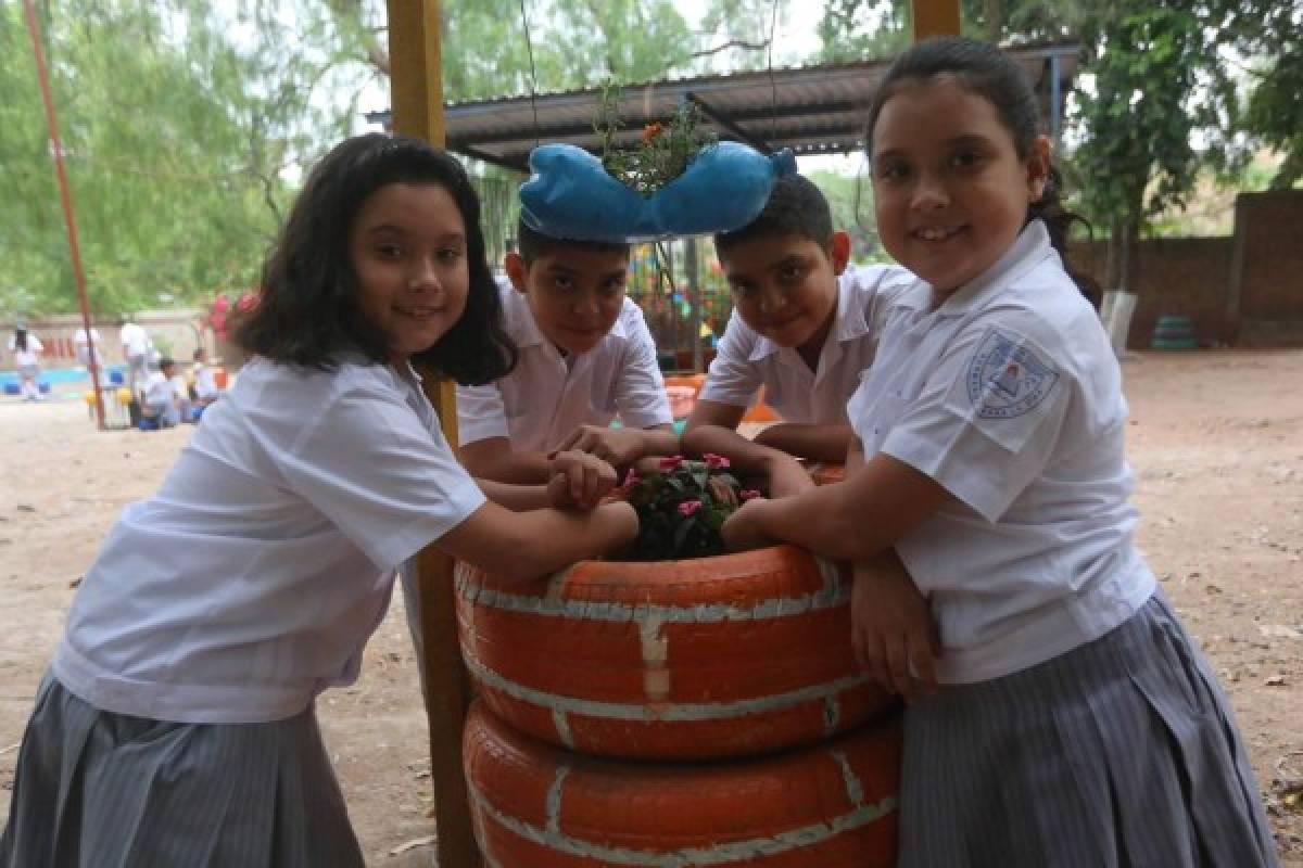 Inician cambios en las escuelas ambientalistas