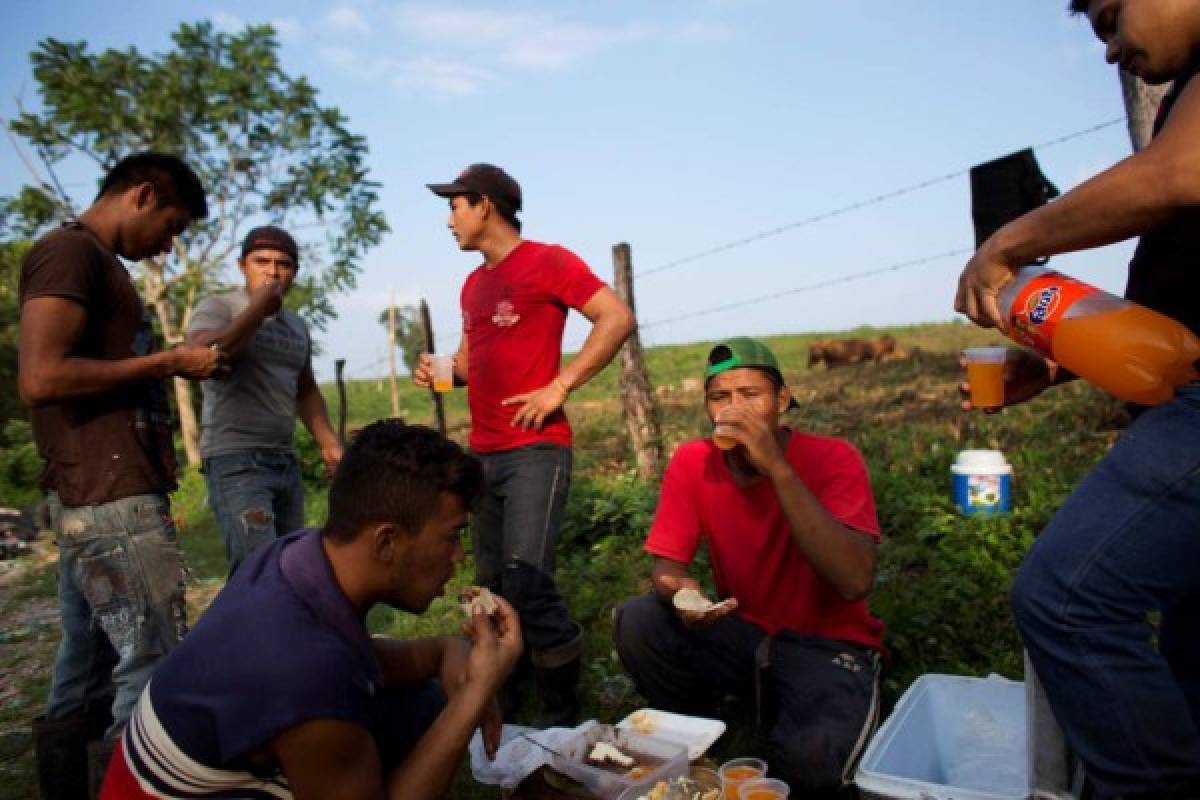 Aumentan las cifras de hondureños que buscan asilo en México
