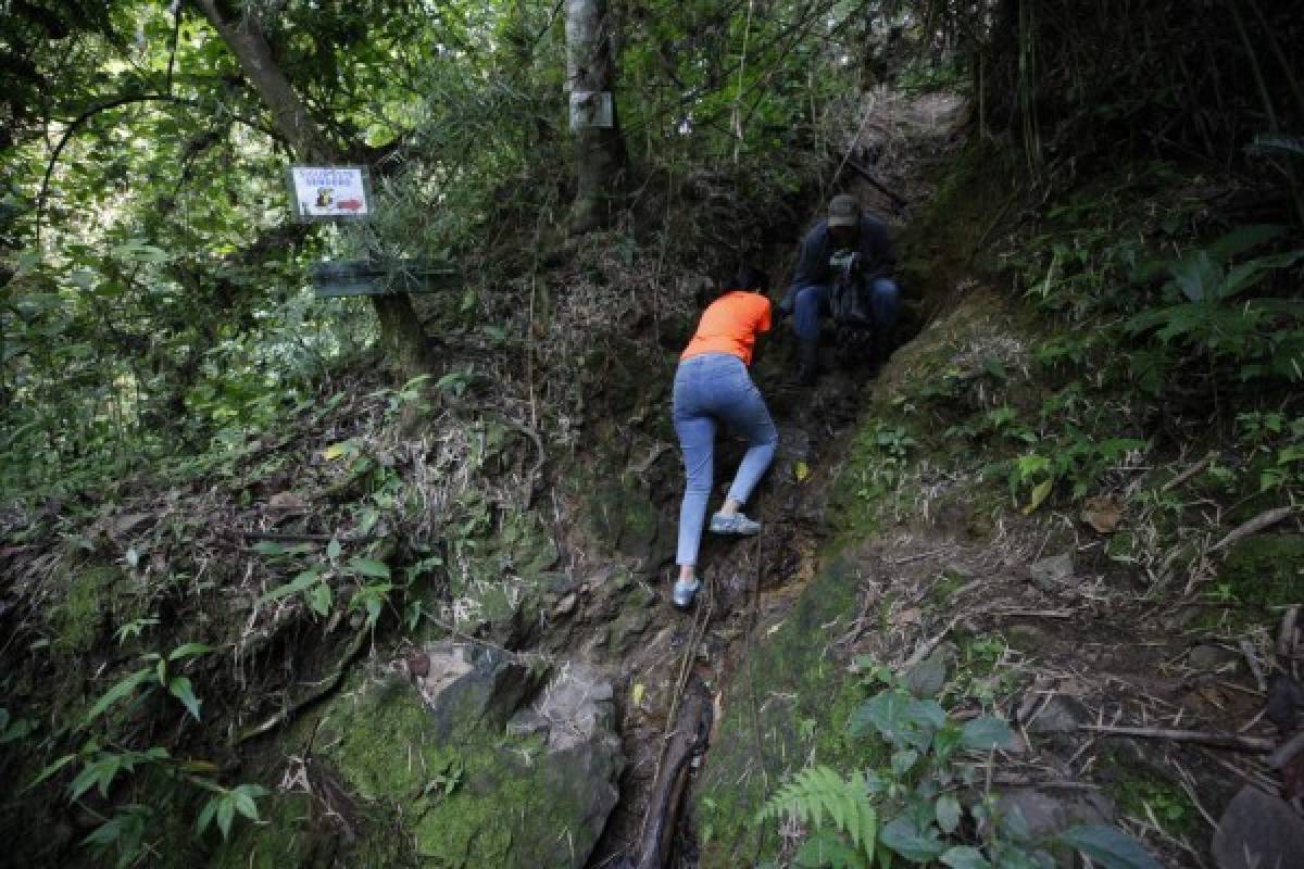 Finca Santa Emilia, un rincón para dejarse consentir por la madre naturaleza