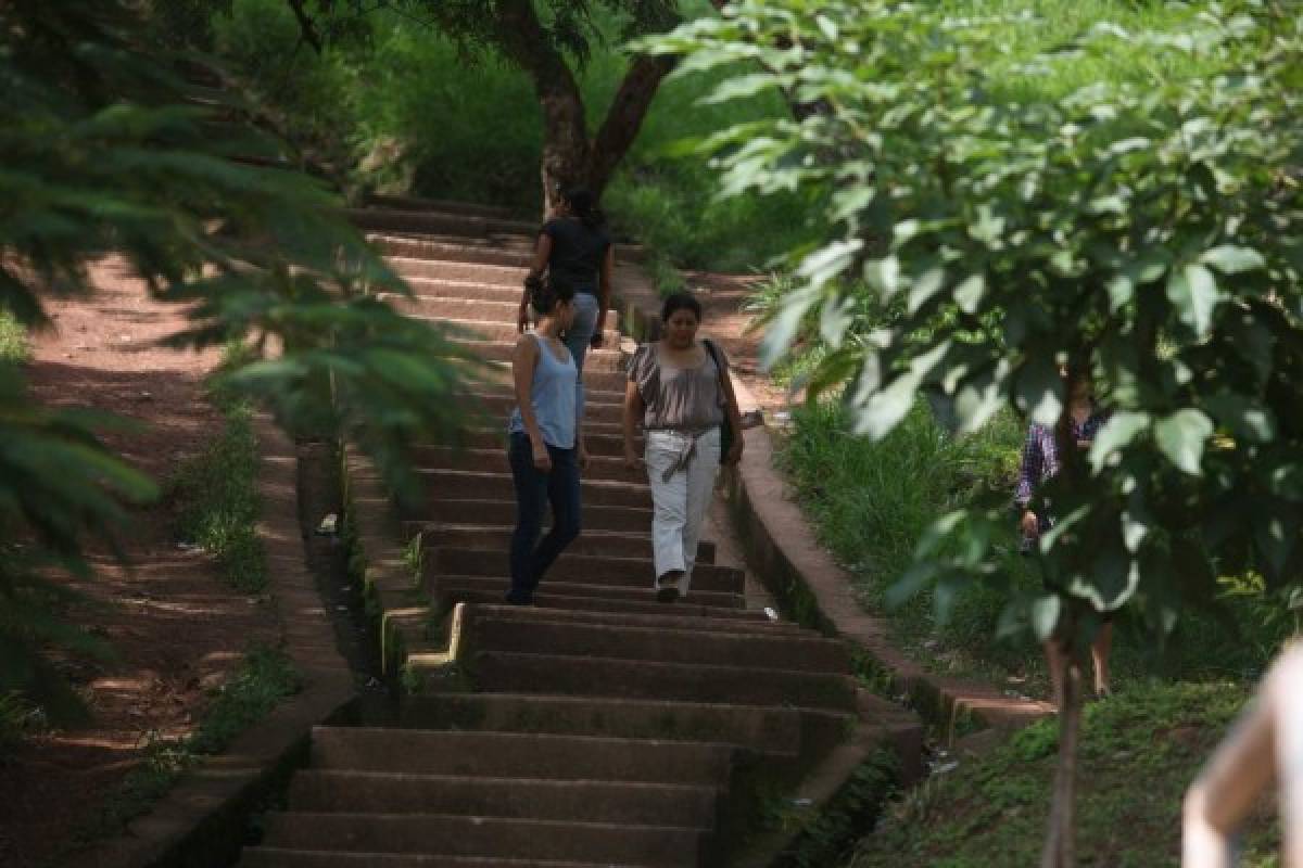 Imágenes de Tegucigalpa: Un recorrido por la colonia 21 de Octubre