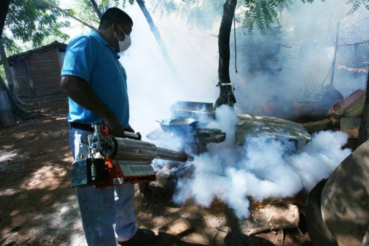 Intervenidas 6,000 viviendas contra dengue y chikungunya
