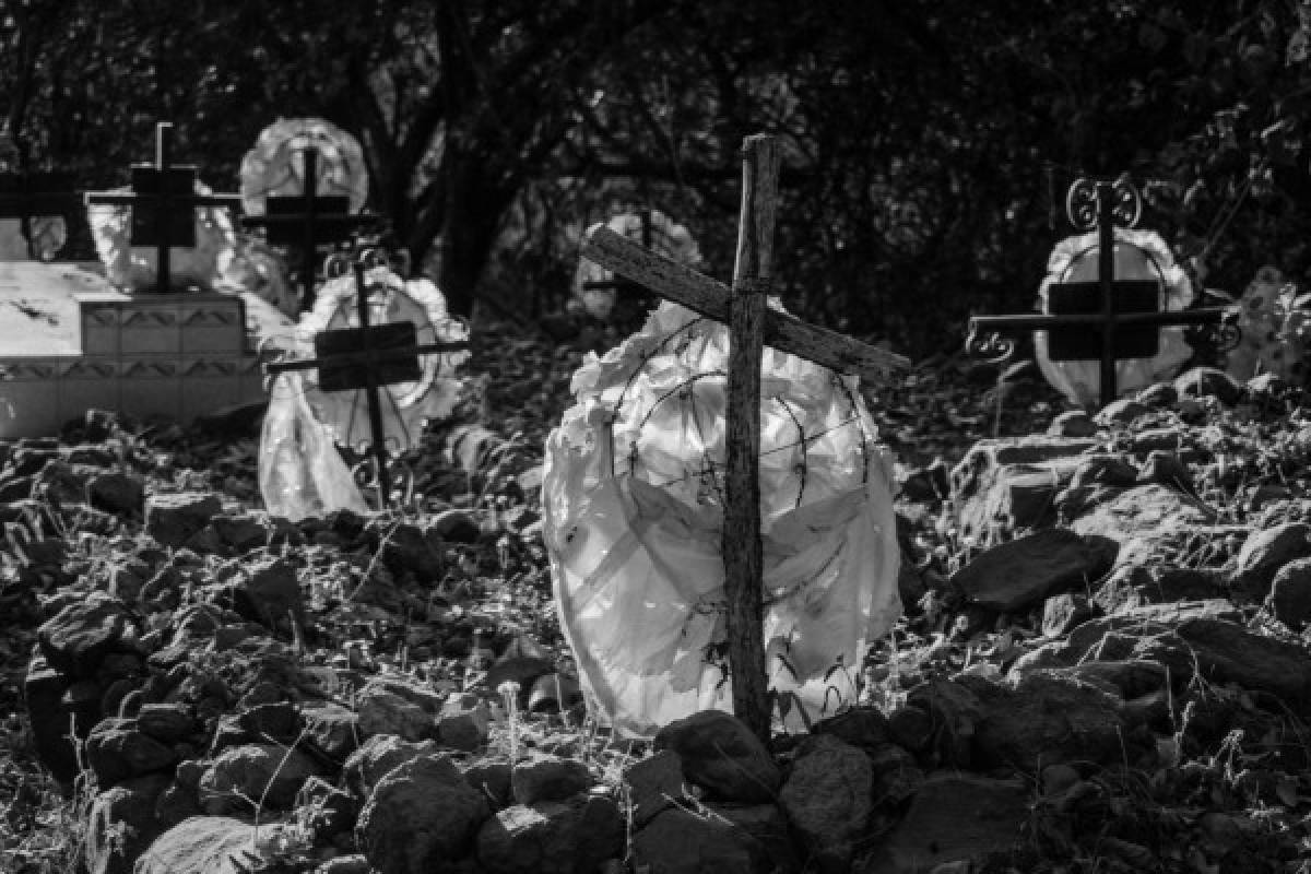 Hebras de luz entre la tierra y la memoria