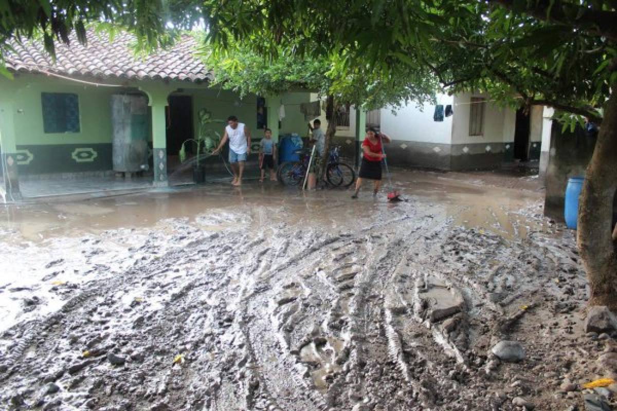 Honduras: En Alianza sucumben siembras de postrera por las inundaciones