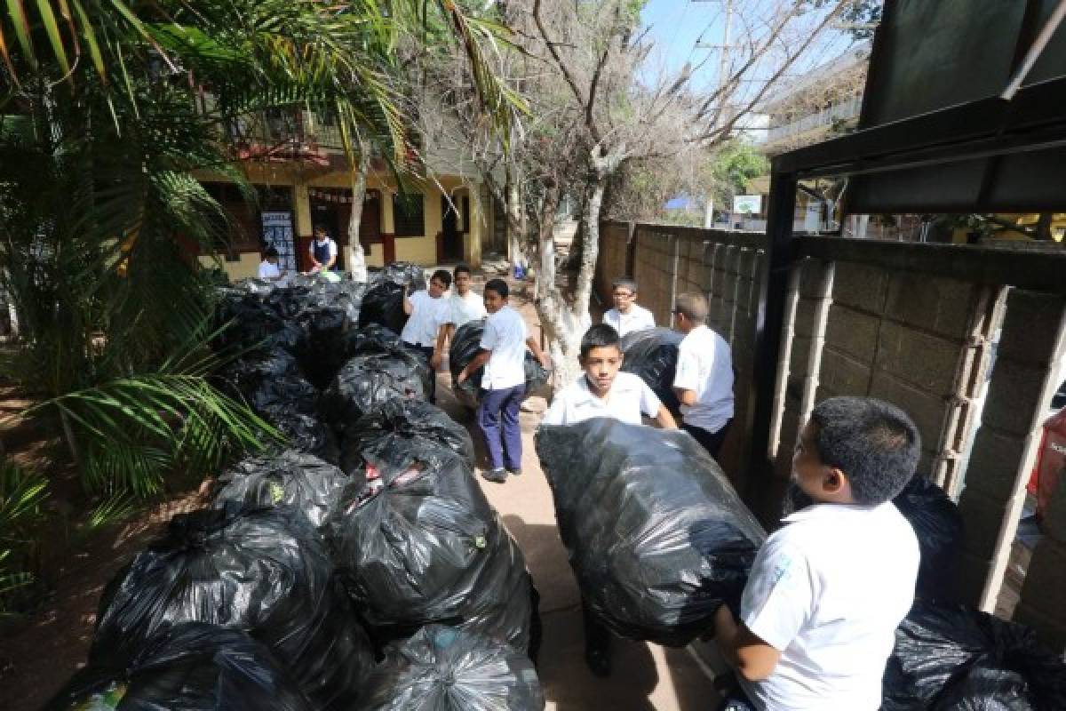 Clubes ecológicos diseñan estrategias