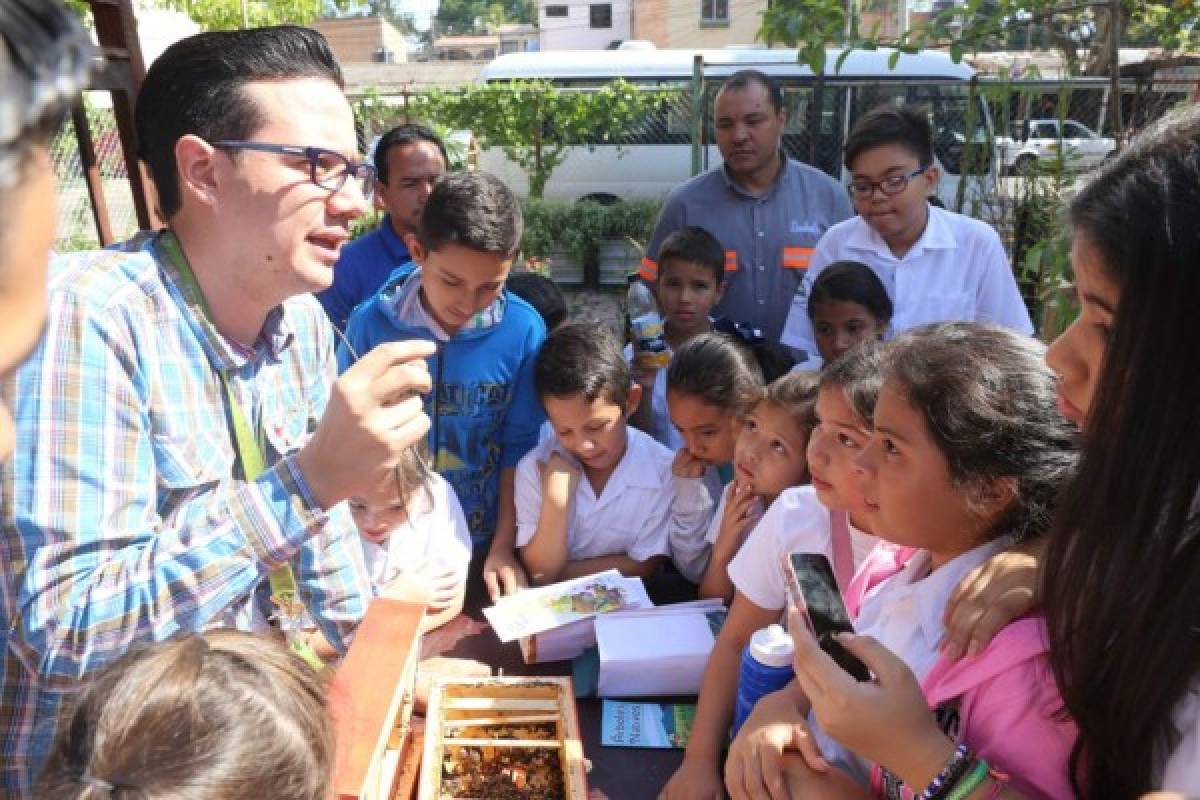 Las abejas meliponas fueron conocidas por los alumnos de la Escuela República de Nicaragua