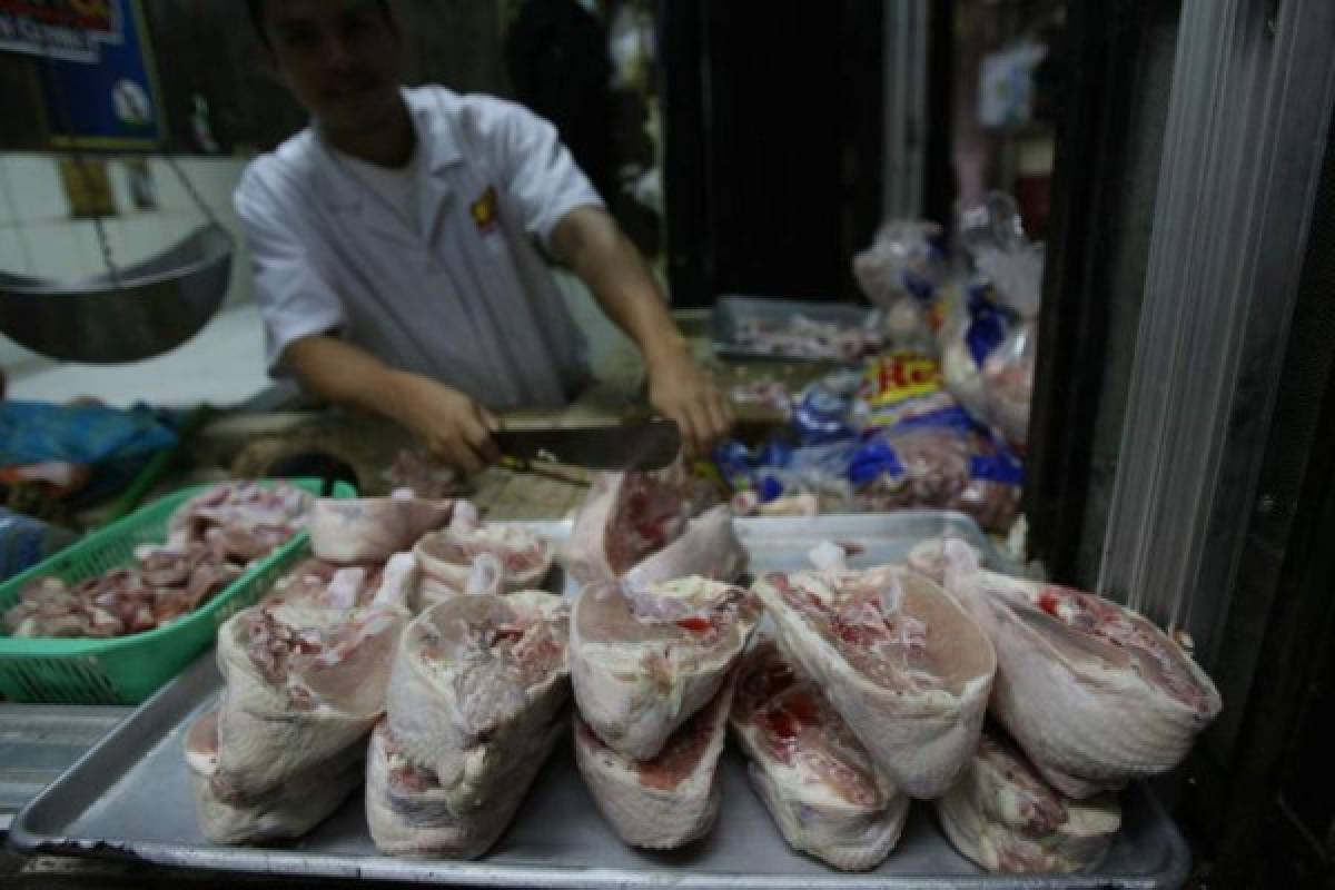 Consumo de pollo en Centroamérica subió a 25.9 kilos por persona