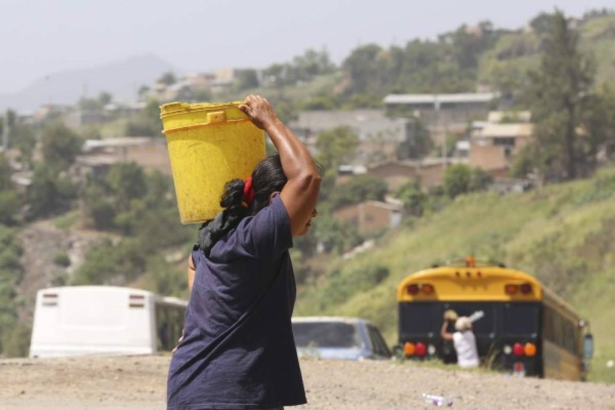 Sequía afecta con fuerza las zonas altas de la capital