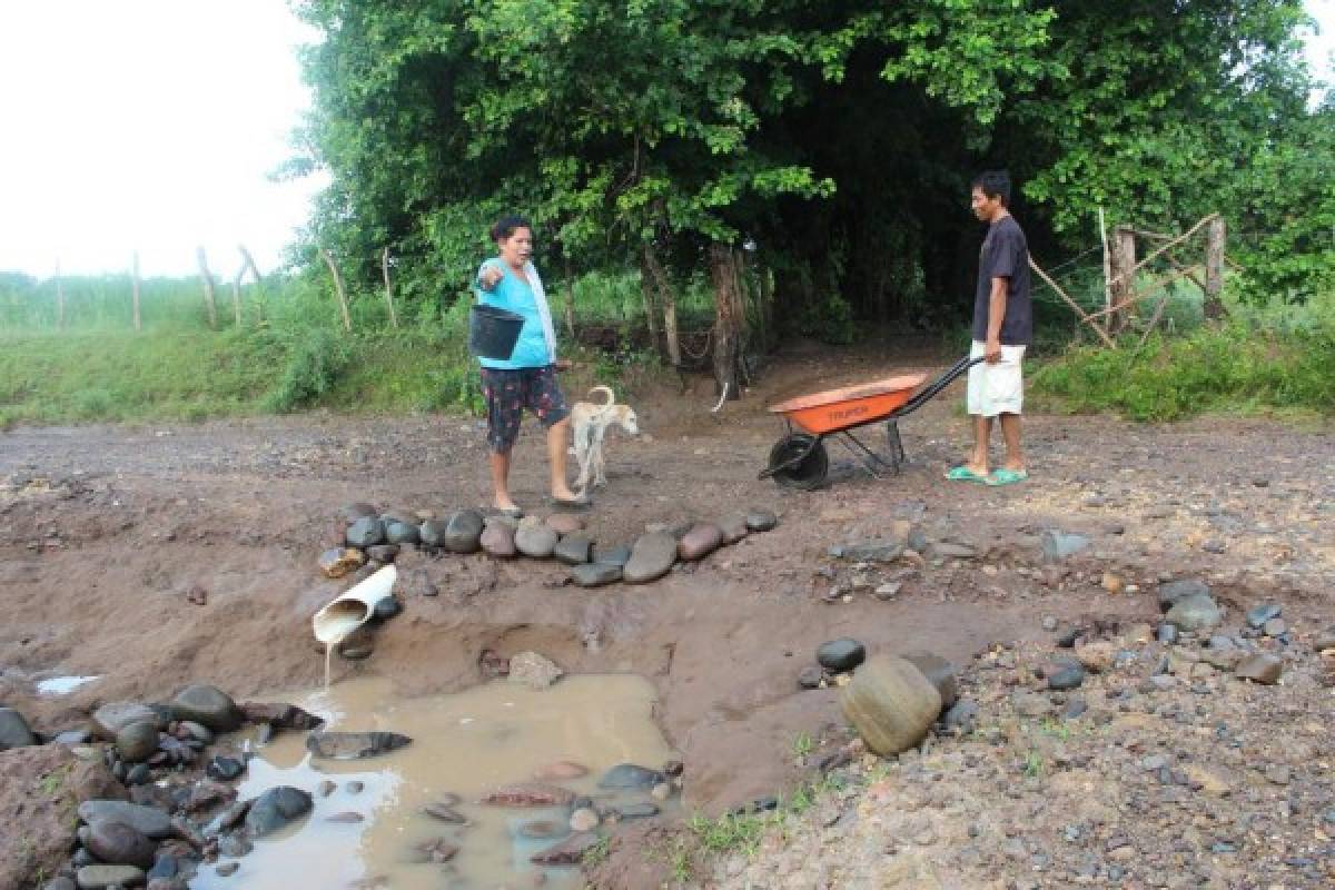 Honduras: En Alianza sucumben siembras de postrera por las inundaciones