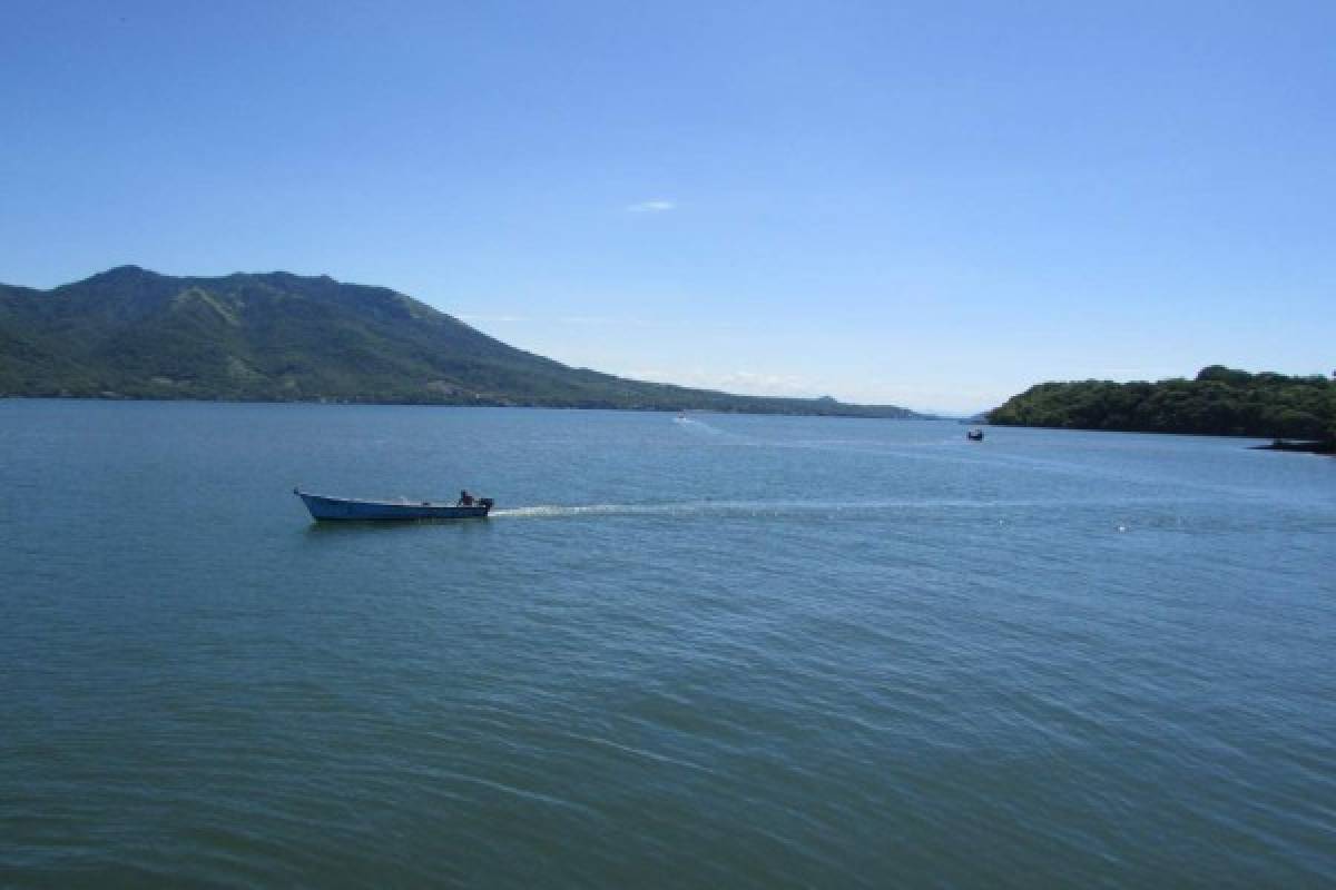 Descartan que algas en el Golfo de Fonseca sean tóxicas