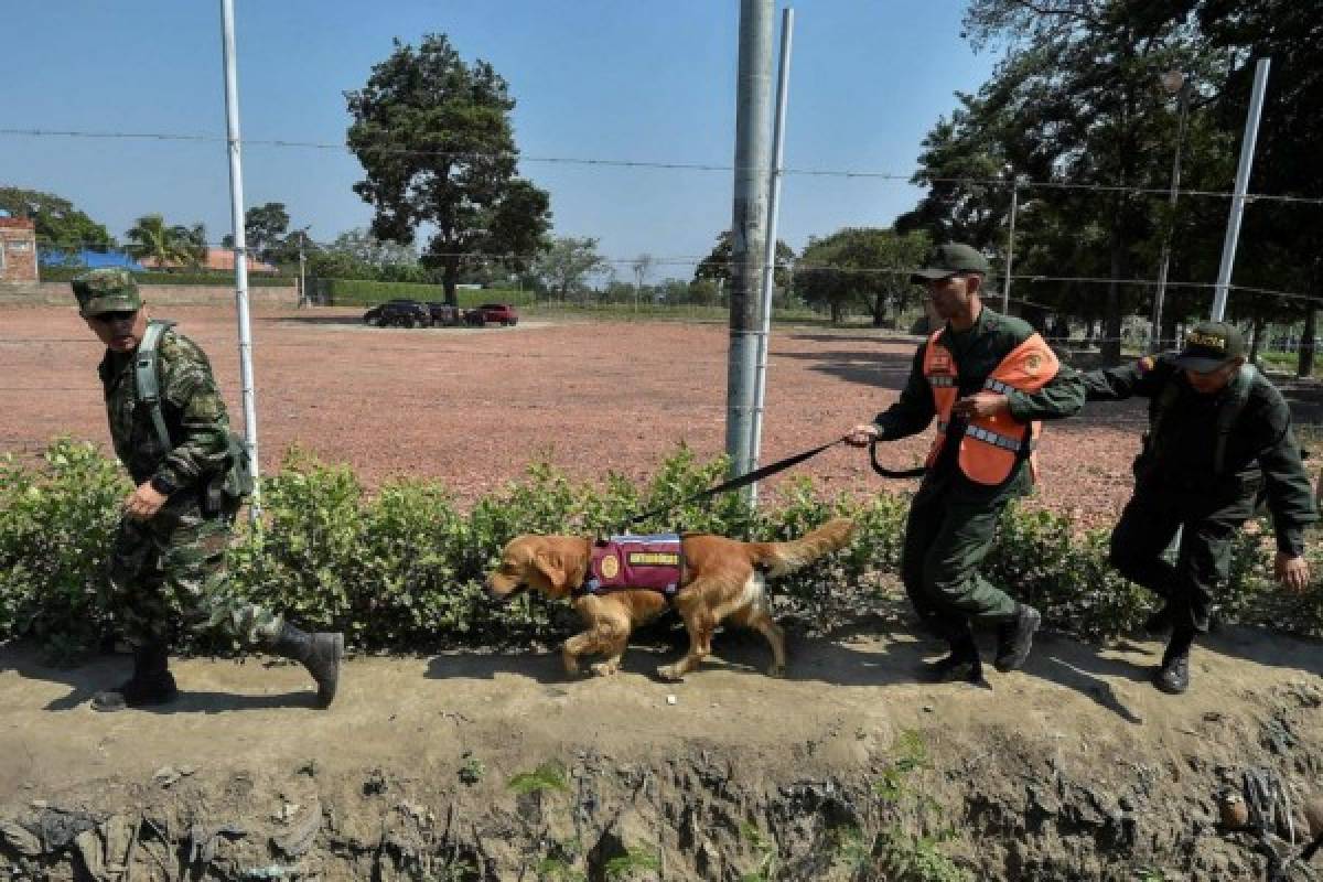 La historia del militar venezolano antidrogas que desertó junto a su perro Scott