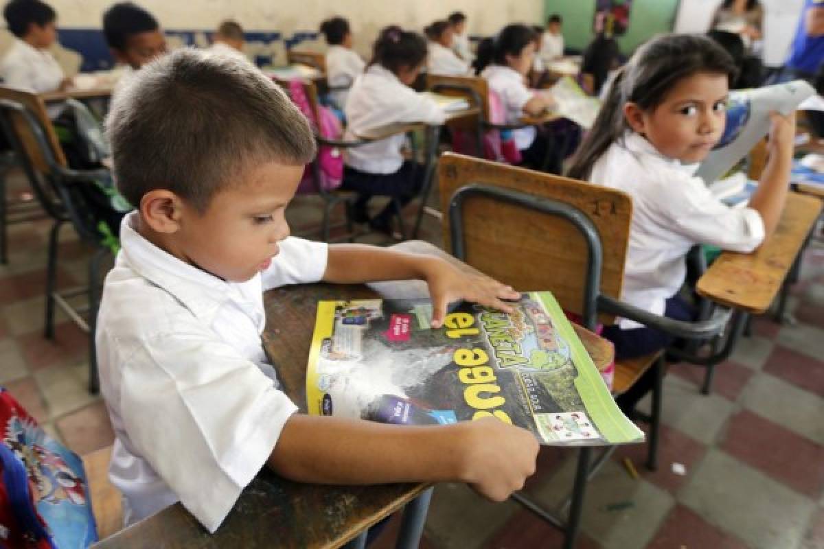 Niños de Escuelas Amigables, a la mitad del camino verde