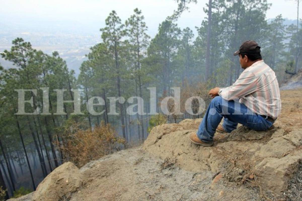 Exequiel García observa con tristeza el desastre. Foto Marvin Salgado/EL HERALDO