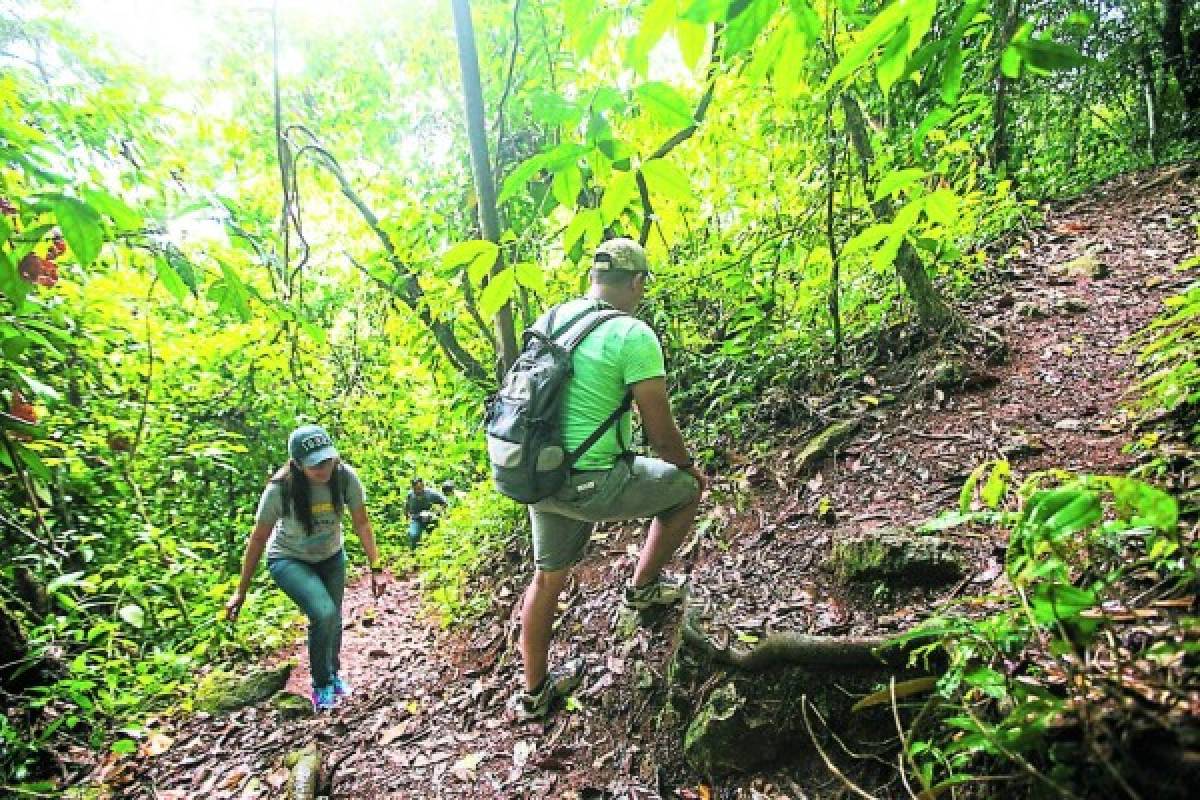 Pico Bonito, un espléndido edén de vida silvestre en la novia de Honduras