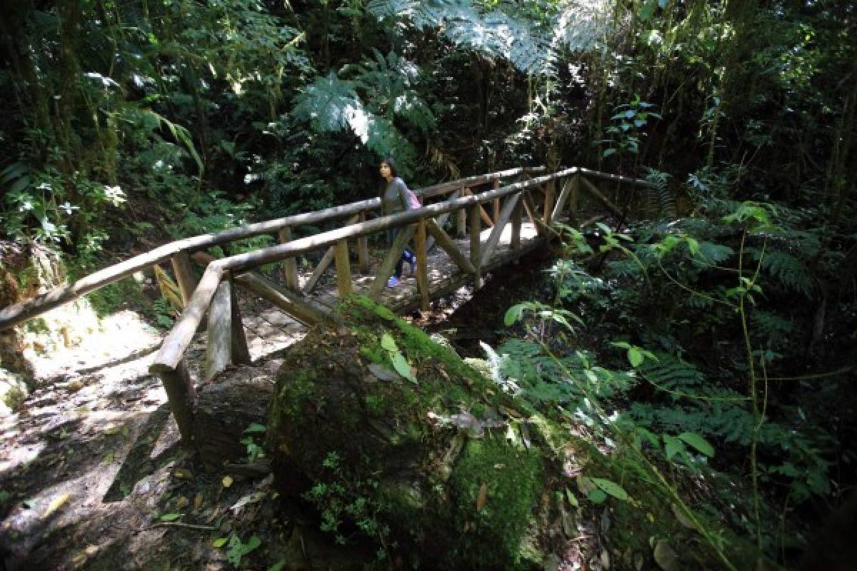 La ruta Cerro de Plata, la unión de El Picacho, El Piligüín y La Tigra