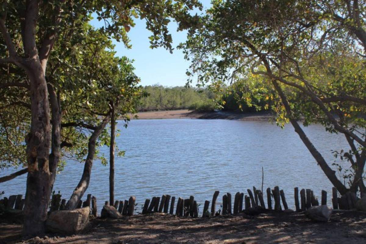 Llano Largo: Manglares, cangrejos y mucha diversión, todo en la zona sur de Honduras