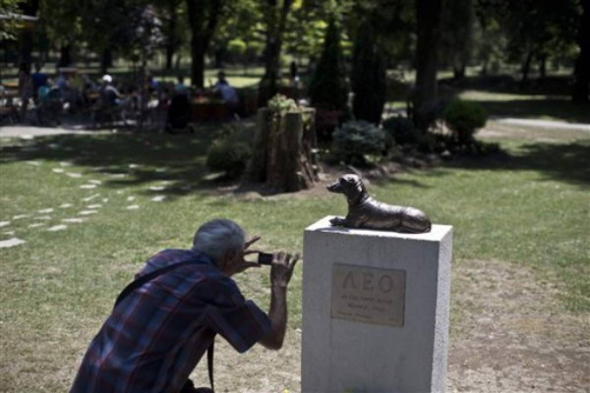 Erigen monumento para honrar valentía de un perro