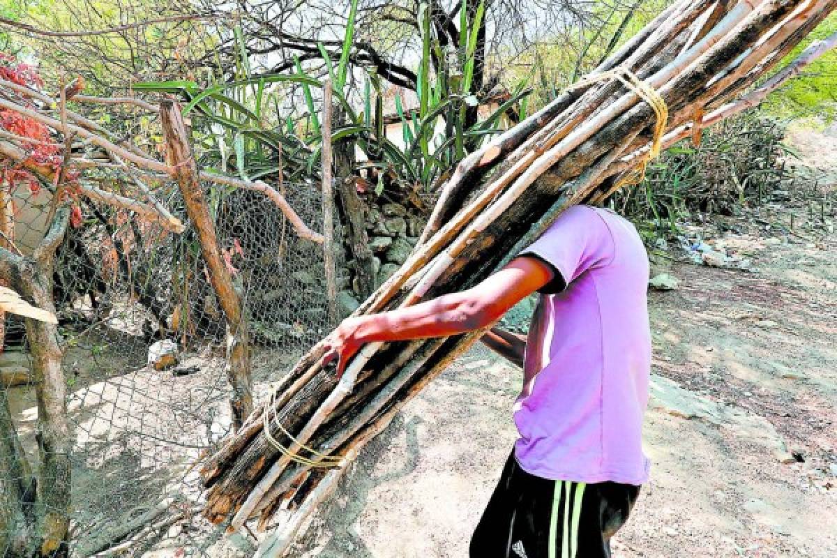 Honduras: El hambre amenaza a pobladores del corredor seco