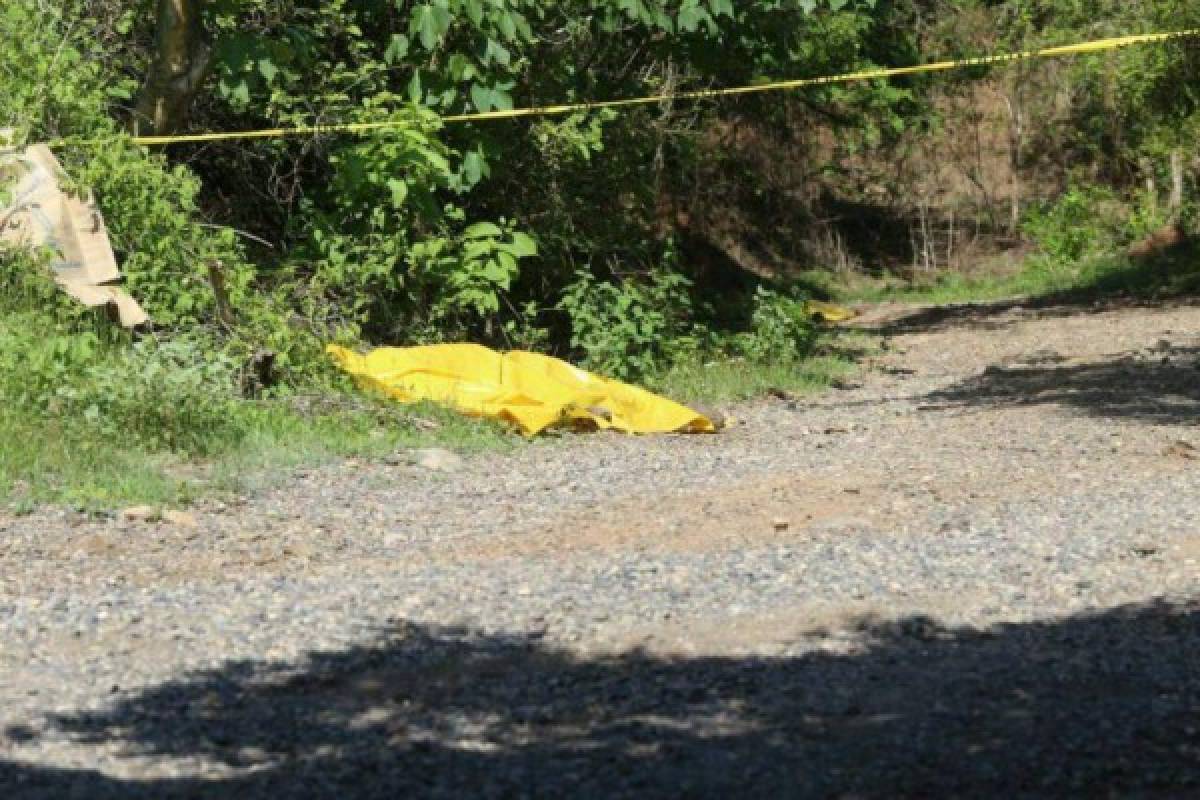 Continúan labores para identificar a supuestos guatemaltecos asesinados