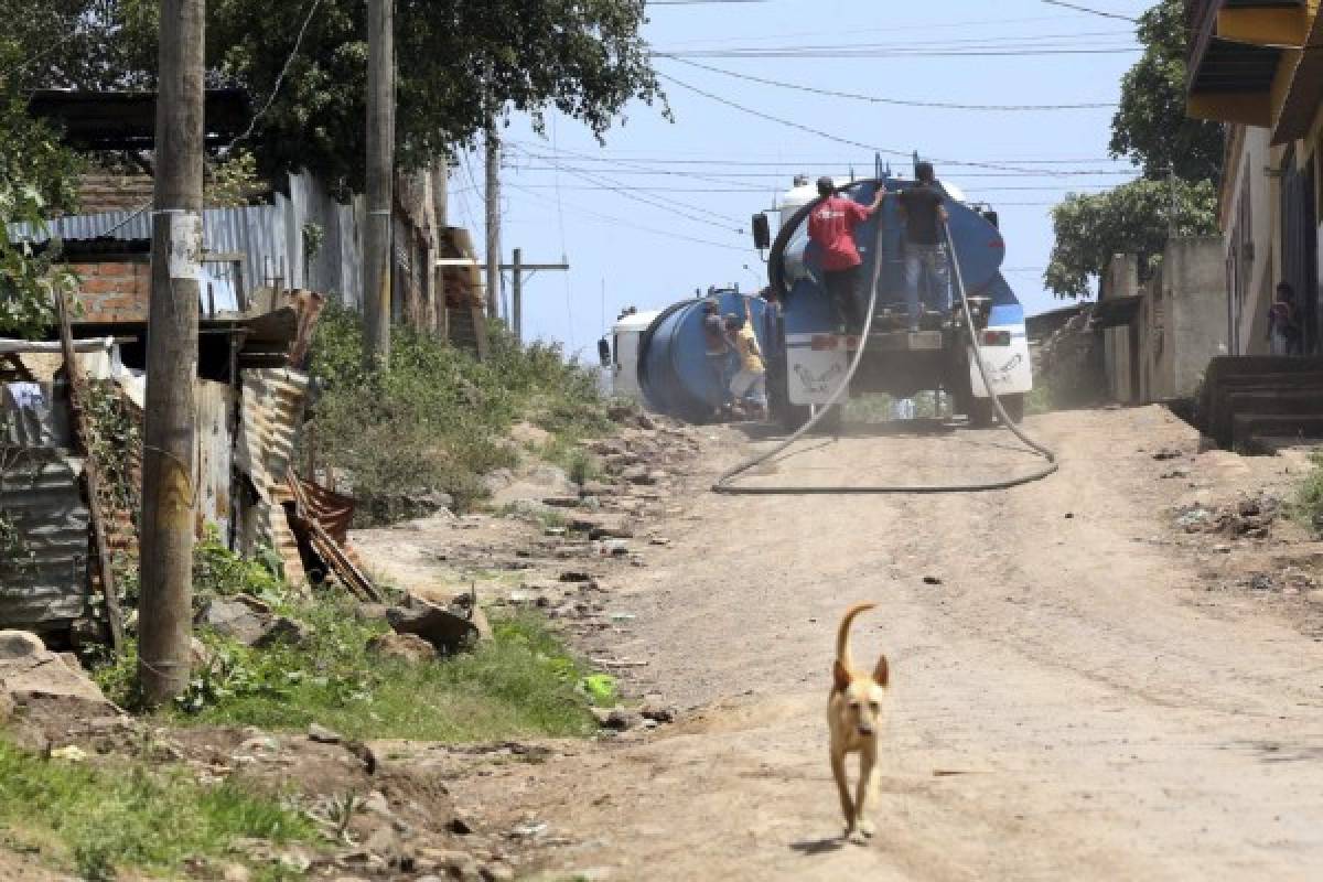 Sequía afecta con fuerza las zonas altas de la capital