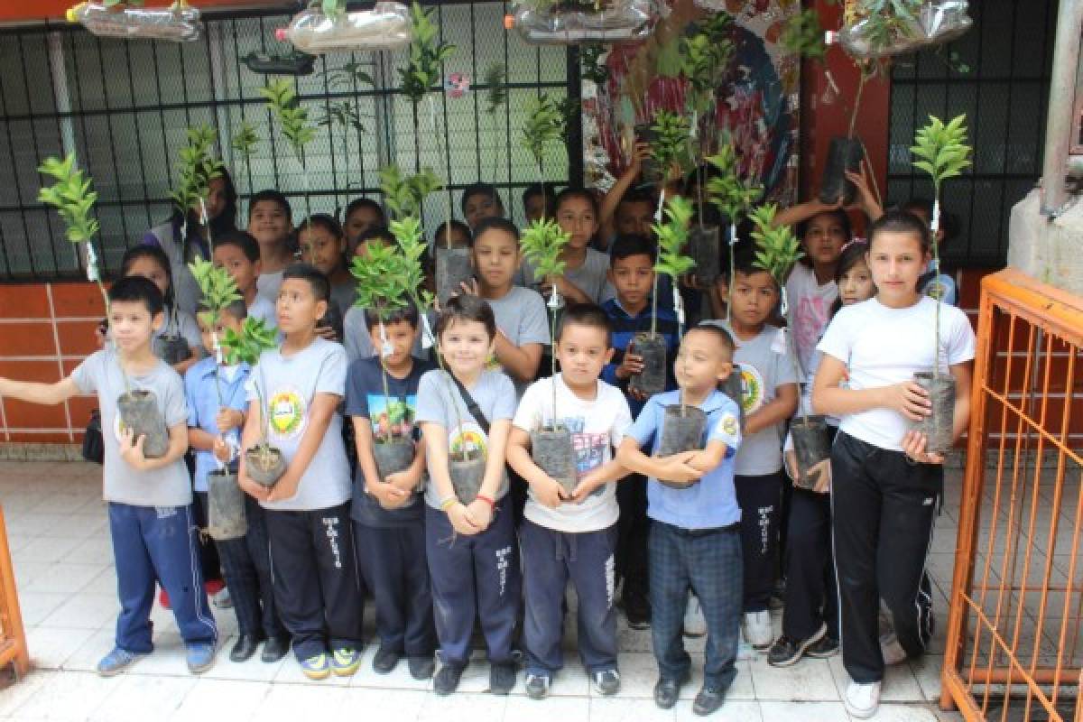 COACEHL forma a niños en el cooperativismo y la ecología