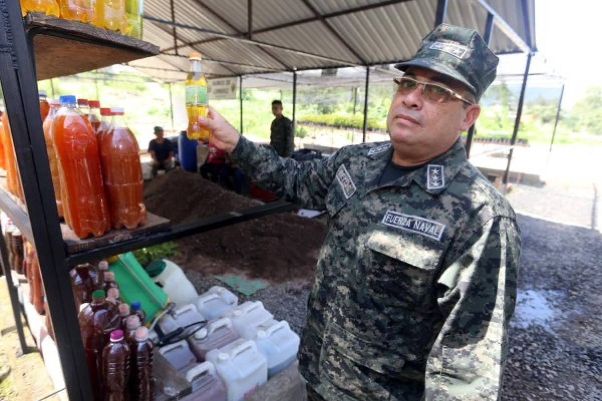 Nuevo vivero para recuperar bosque del Distrito Central