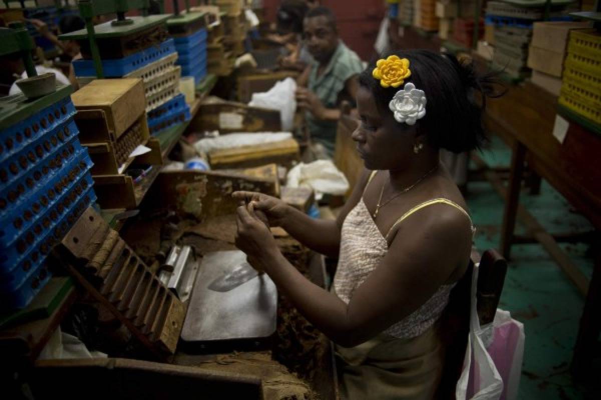 Festival del Habano recauda 1,5 millones de euros para Salud de Cuba