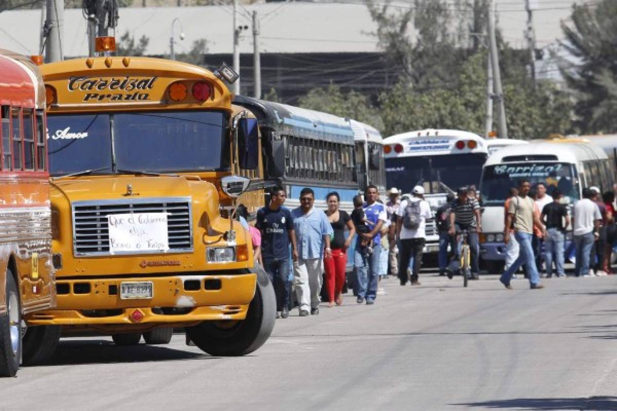 Ley de Transporte estará reglamentada en 60 días