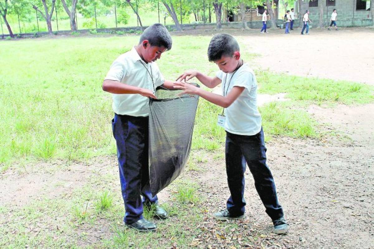 Escolares del sur combaten el dengue con folletos educativos