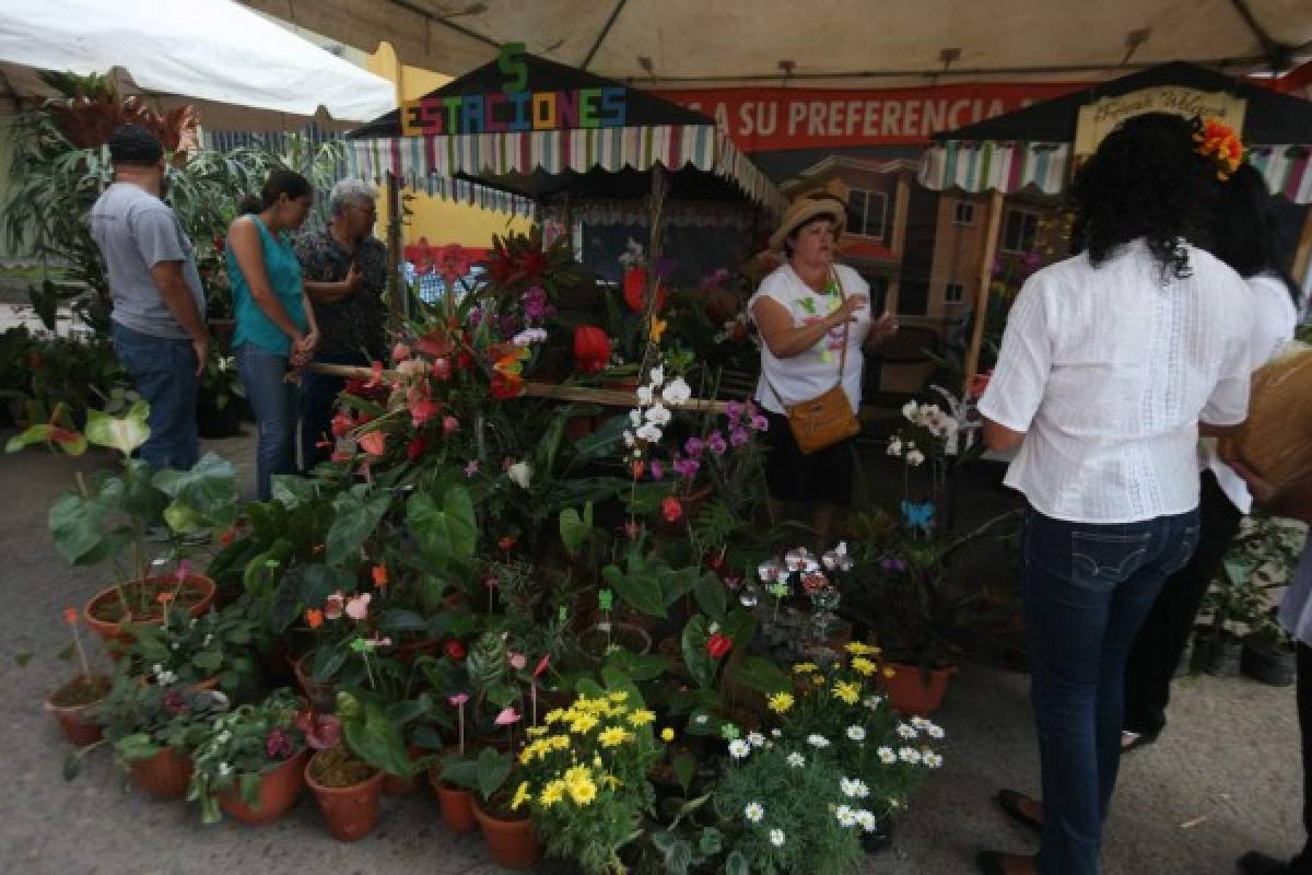 Festival de las Flores busca ser tradición