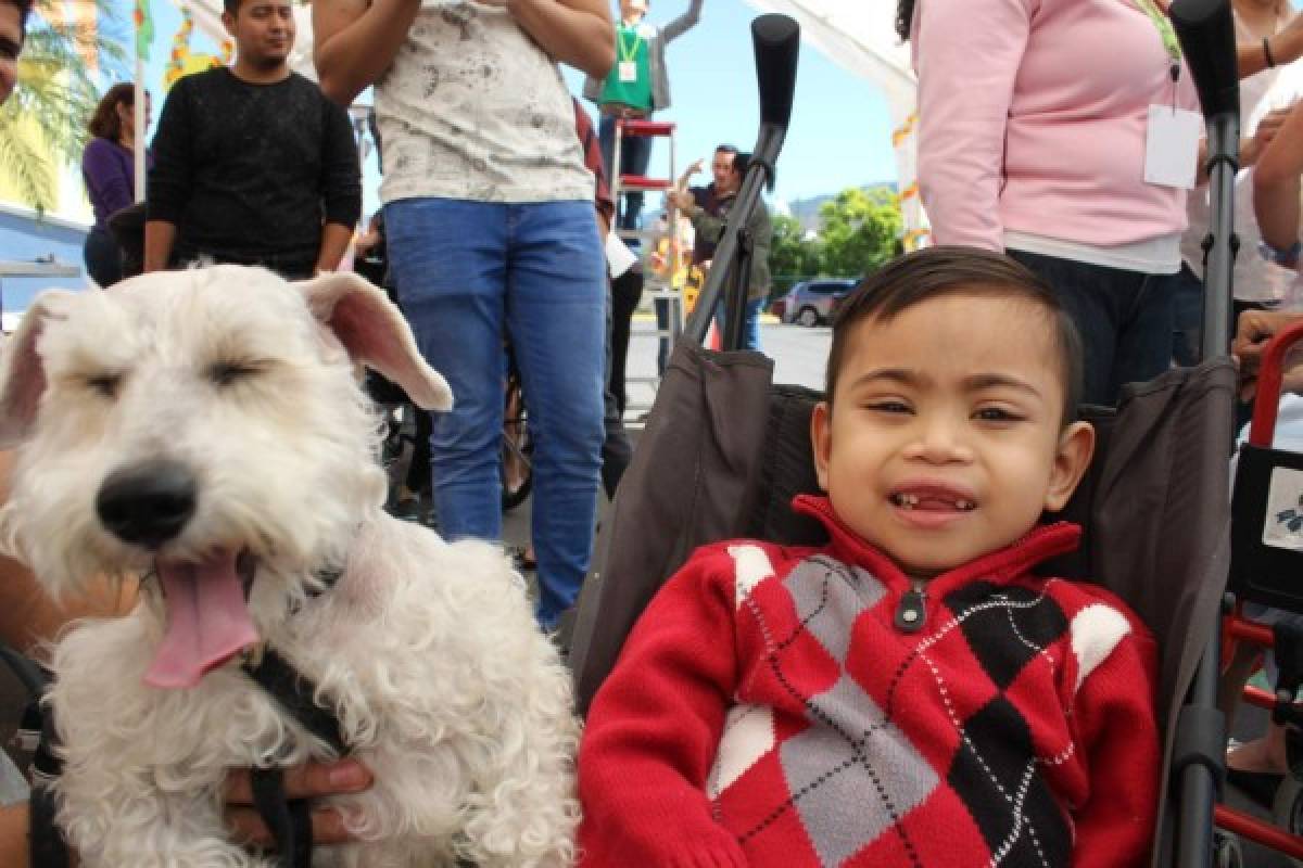 Mascotas ofrecen entretenida jornada antiestrés a niños del Hospital María