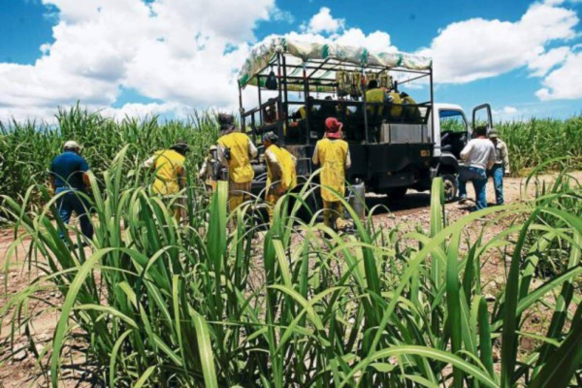 Sin definirse nuevo reglamento para exonerar al agro