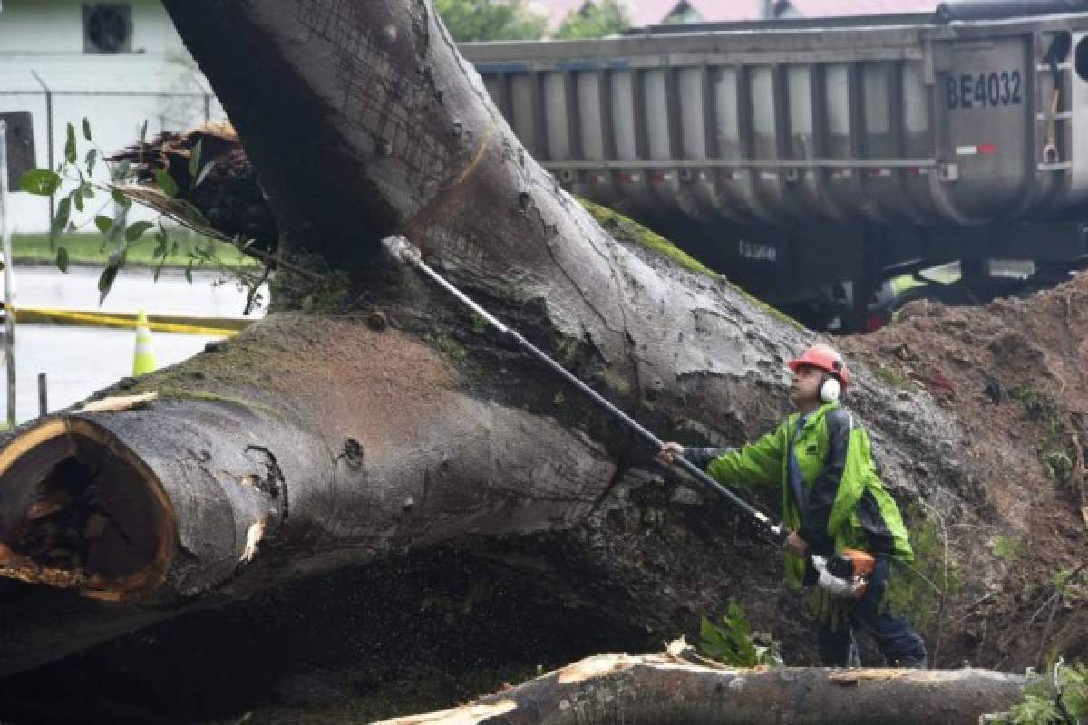 Caribe hondureño recibiría fuertes lluvias tras llegada de Otto a Centroamérica