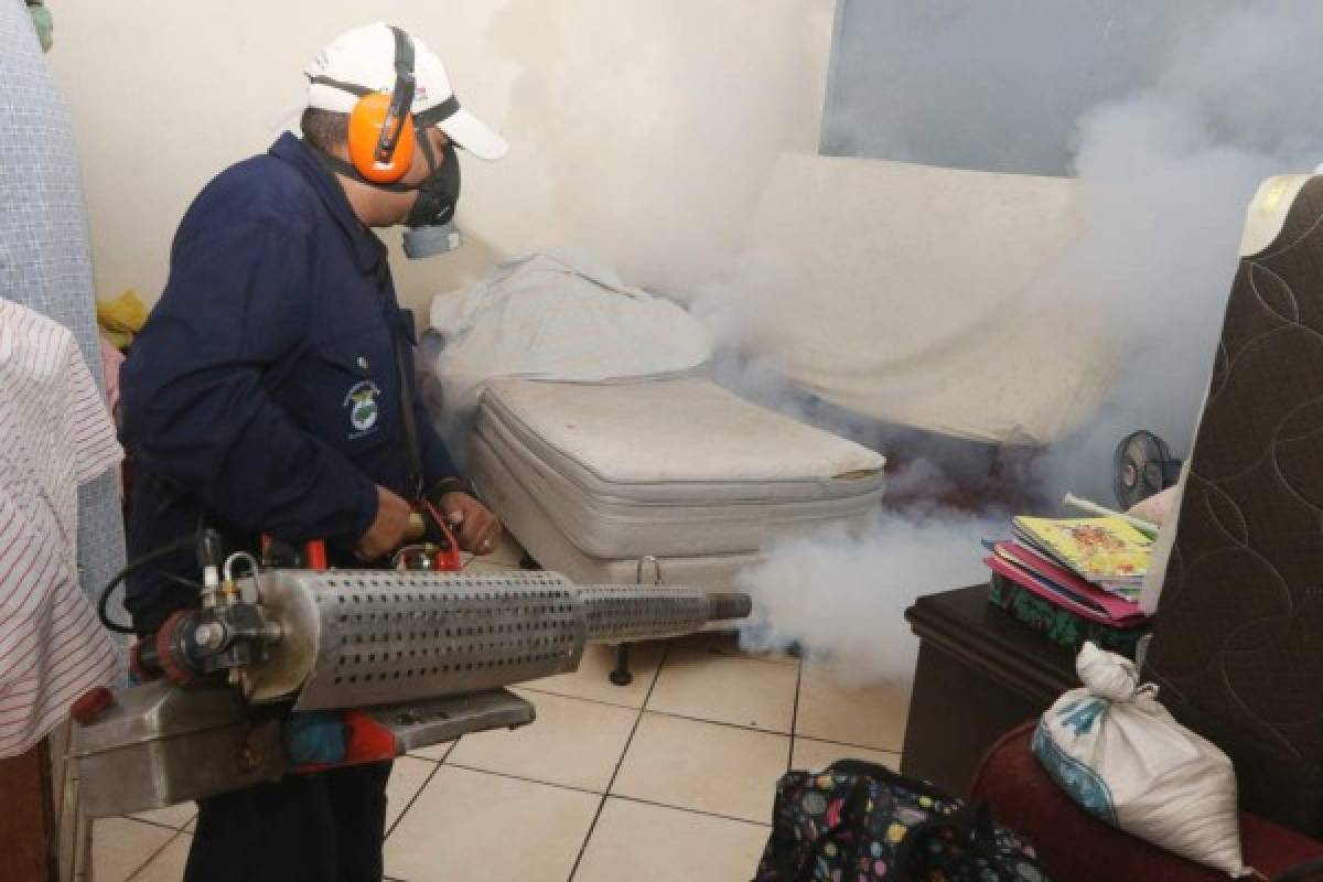 Salud dividirá en tres estratos el DC para combatir el Aedes aegypti