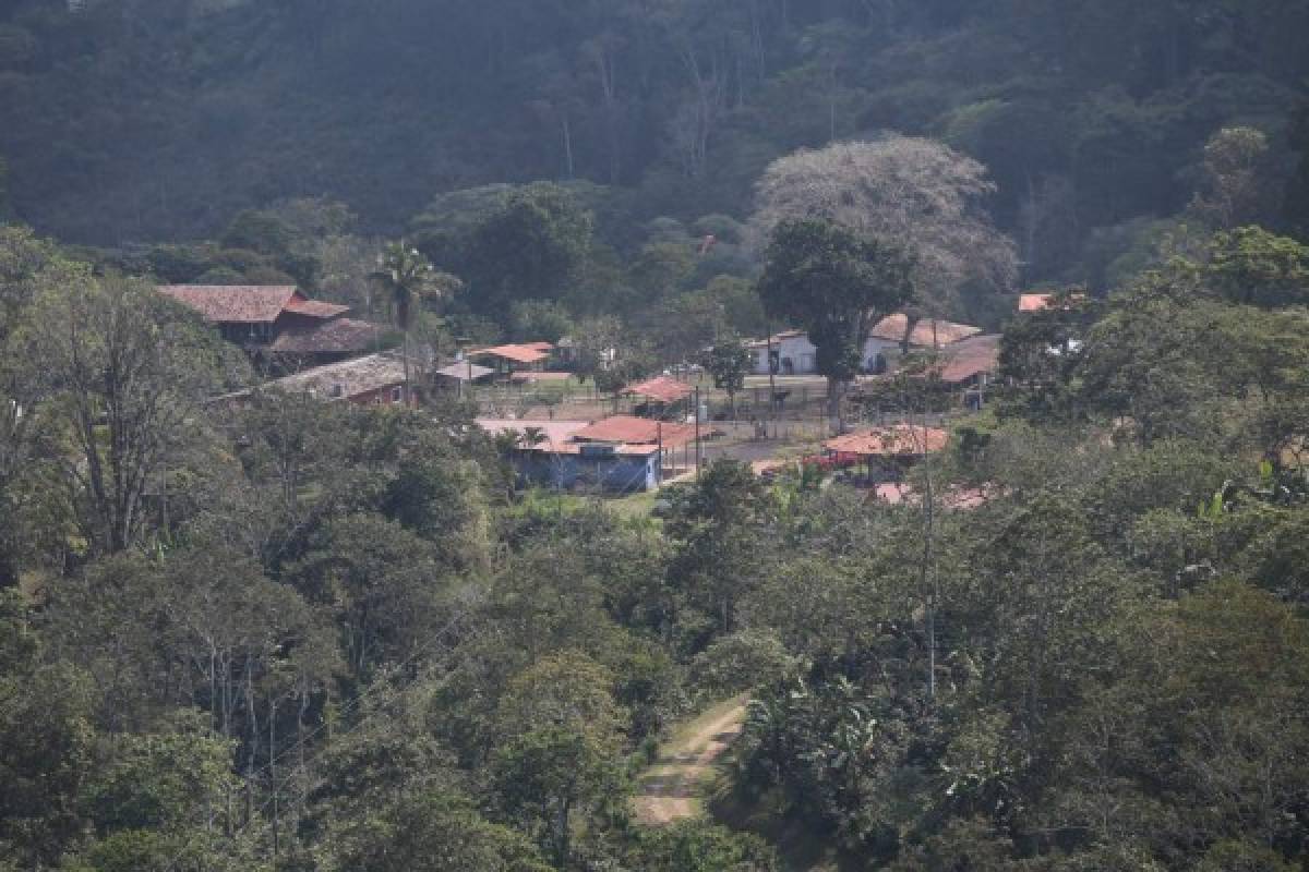 Disfrute la vida del campo en Hacienda Montecristo, Copán