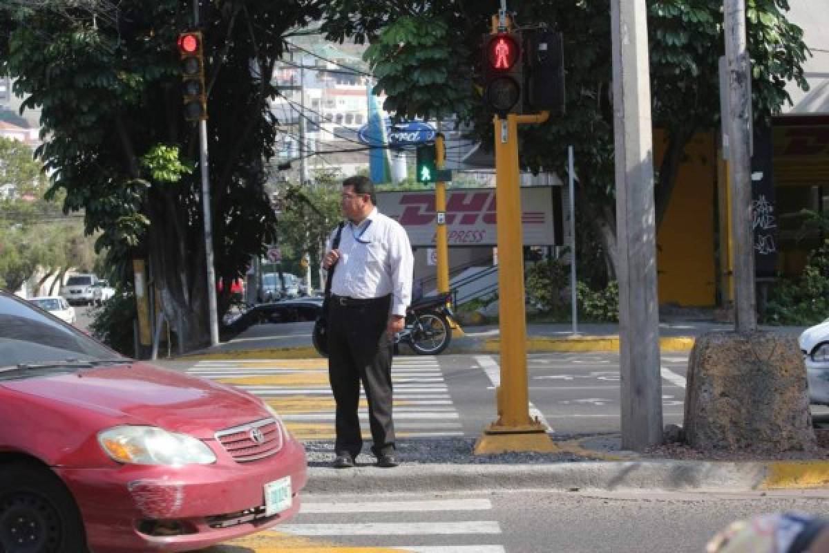 Alcaldía busca instalar semáforos para peatones en la capital  