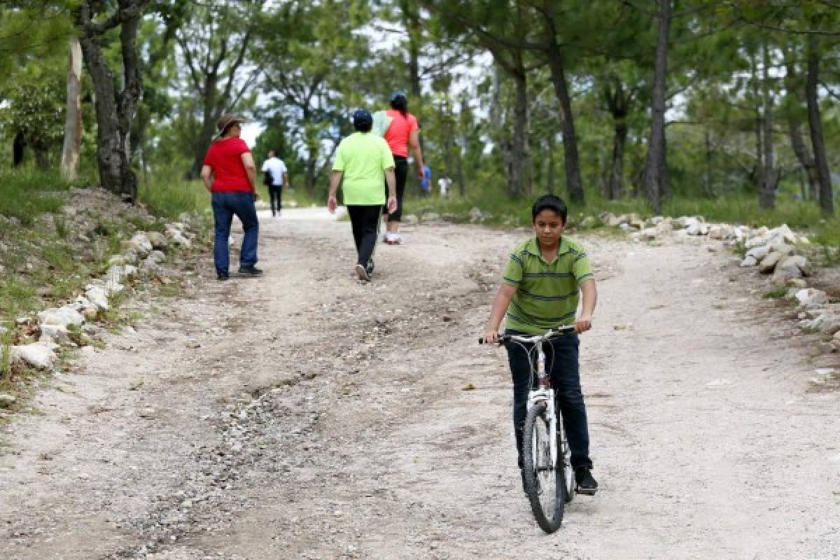 Canopy, senderismo y diversión ofrece la capital a los vacacionistas