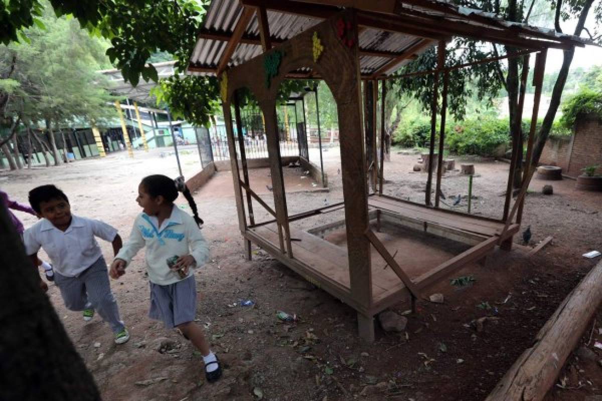 Inician cambios en las escuelas ambientalistas