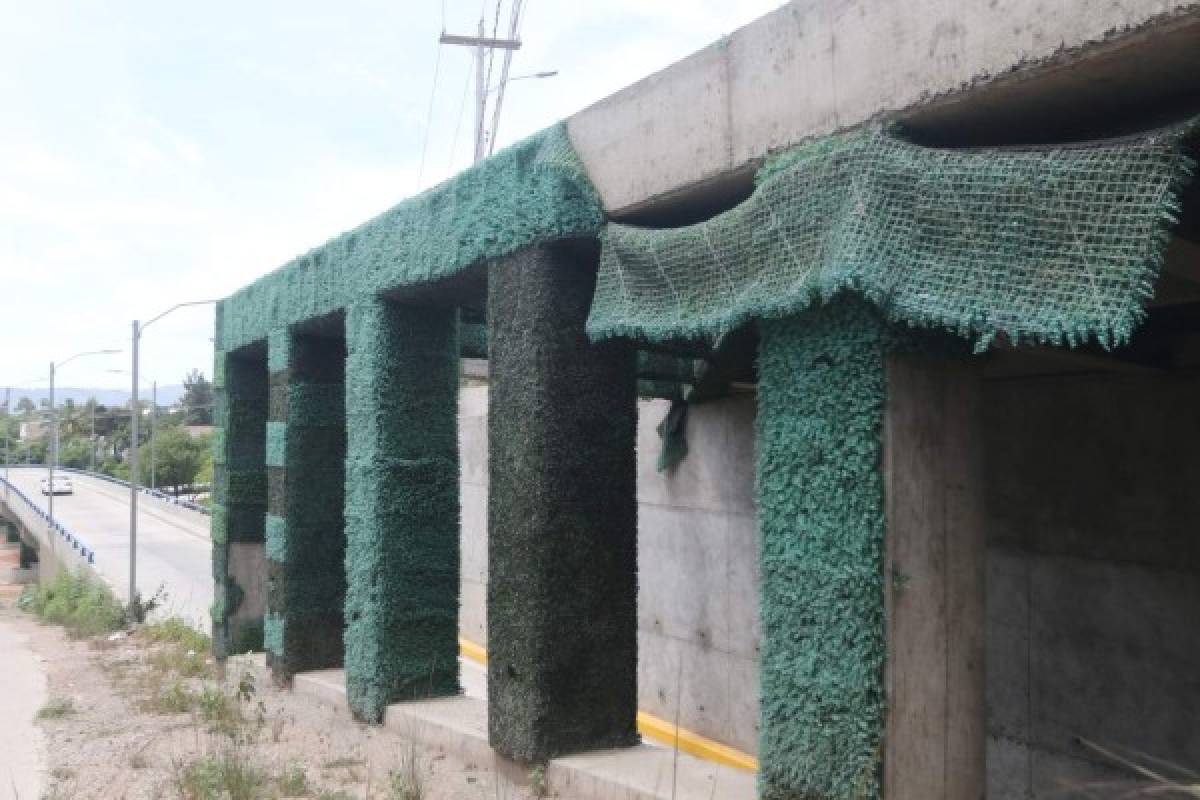 Alcaldía buscará alternativas para ornamentar obras