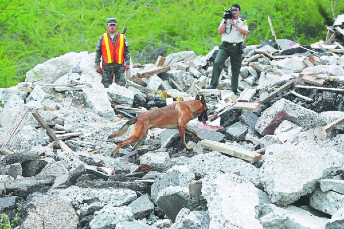 Perros en cárceles de Honduras para detectar celulares