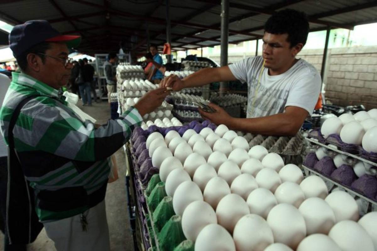 Incremento a precio de los huevos es injustificado
