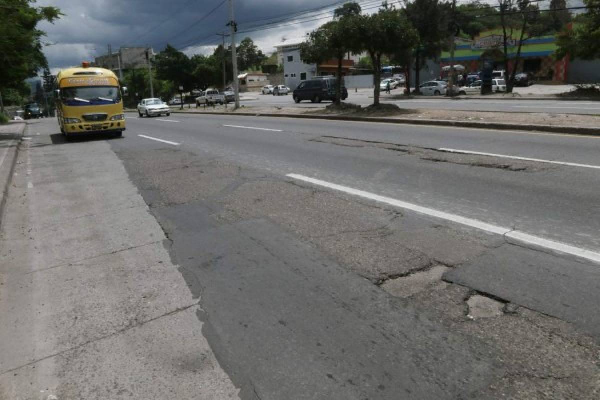 Más de 200 accidentes de peatones se registran en el Distrito Central