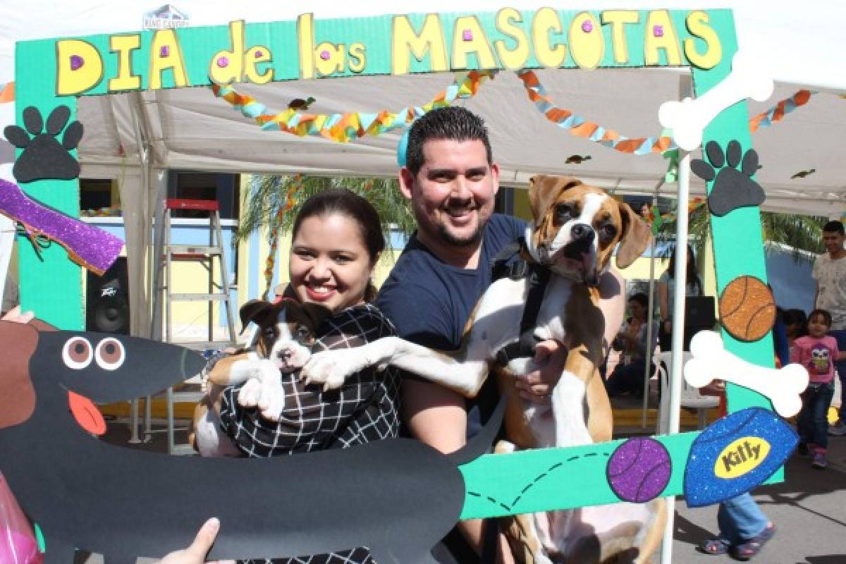 Mascotas ofrecen entretenida jornada antiestrés a niños del Hospital María