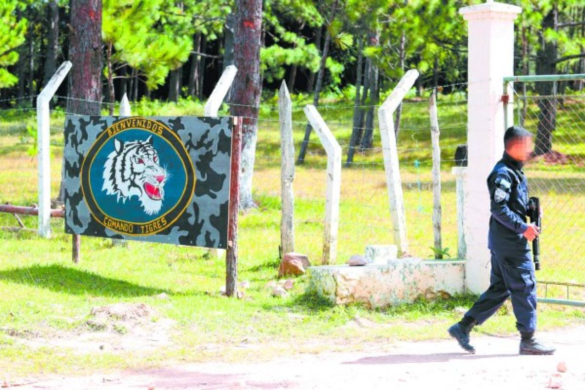 Honduras: Desfile de policías TIGRES a declarar