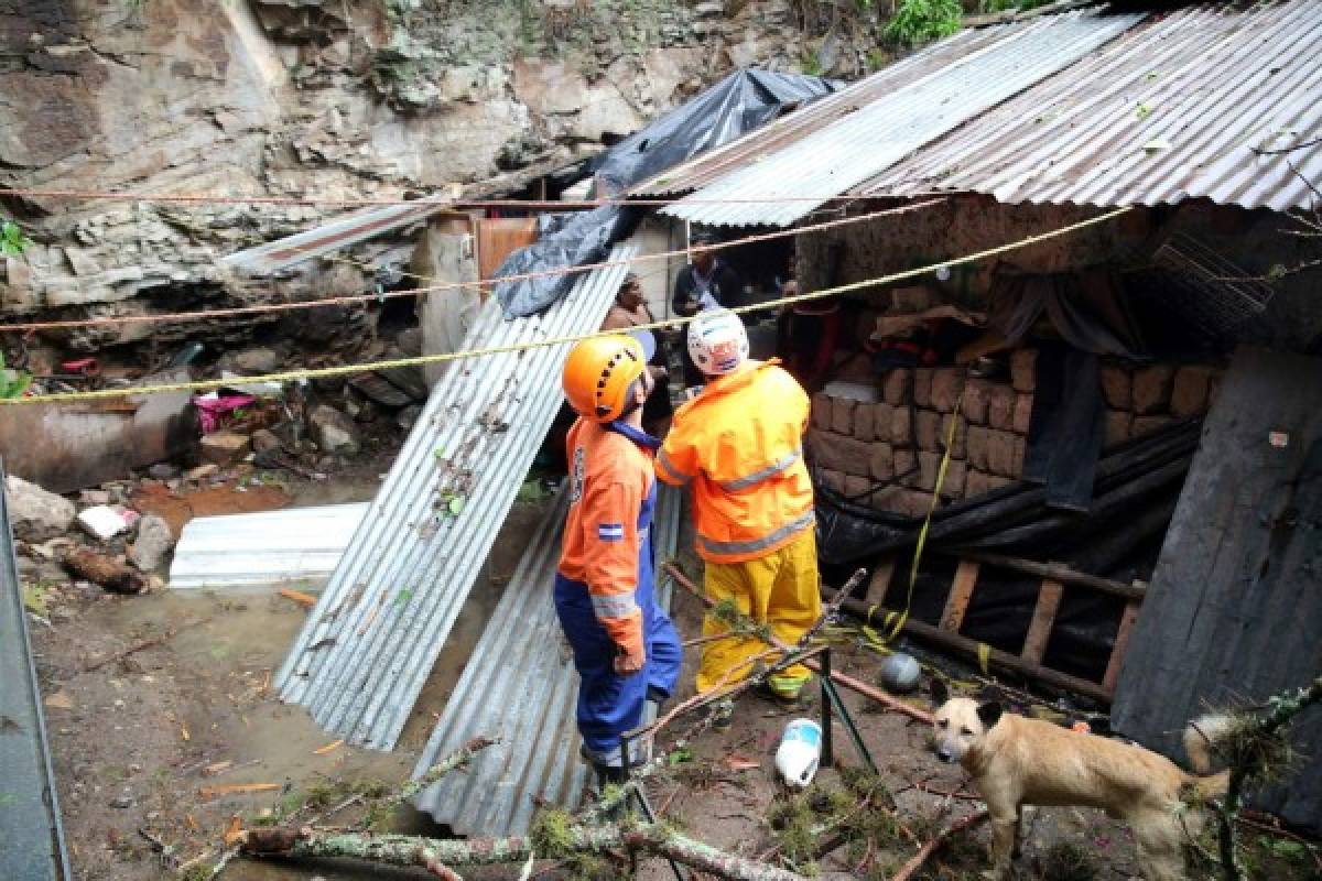 Más de 10 sectores afectados dejan lluvias y fuertes vientos en la capital de Honduras