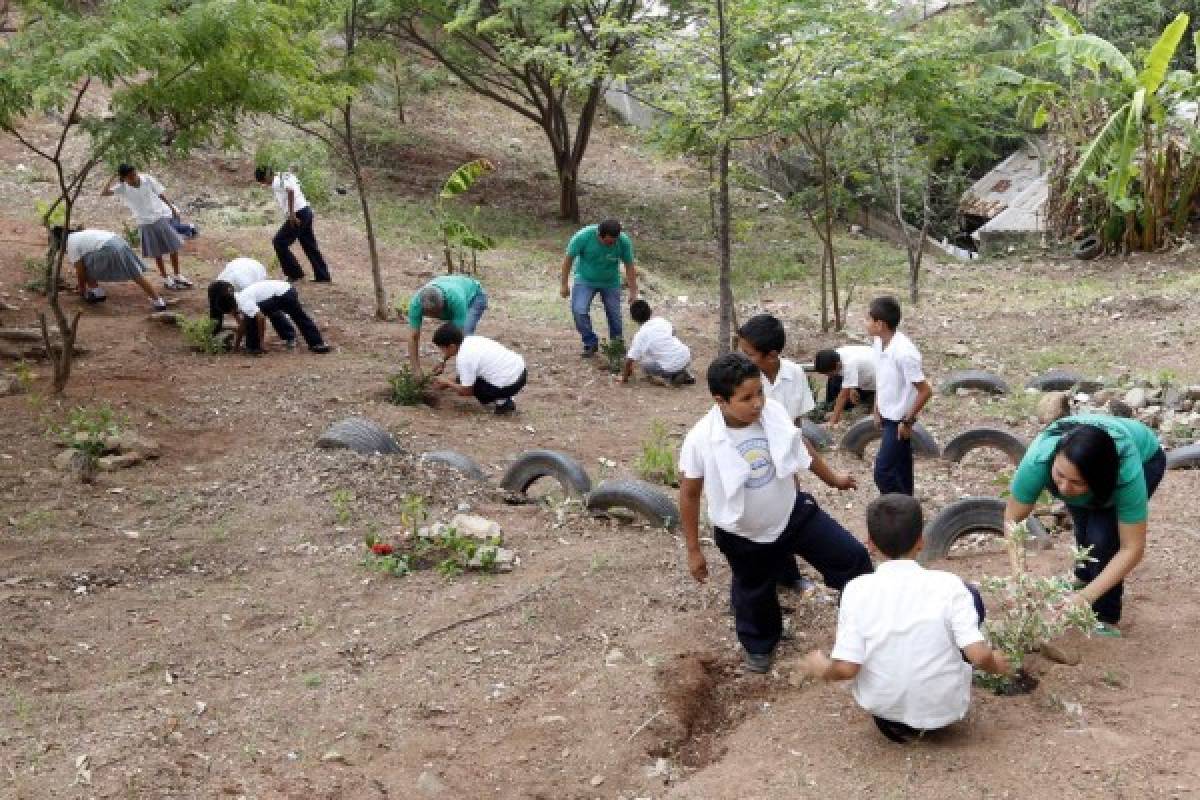 Coacehl reforesta y revive áreas verdes