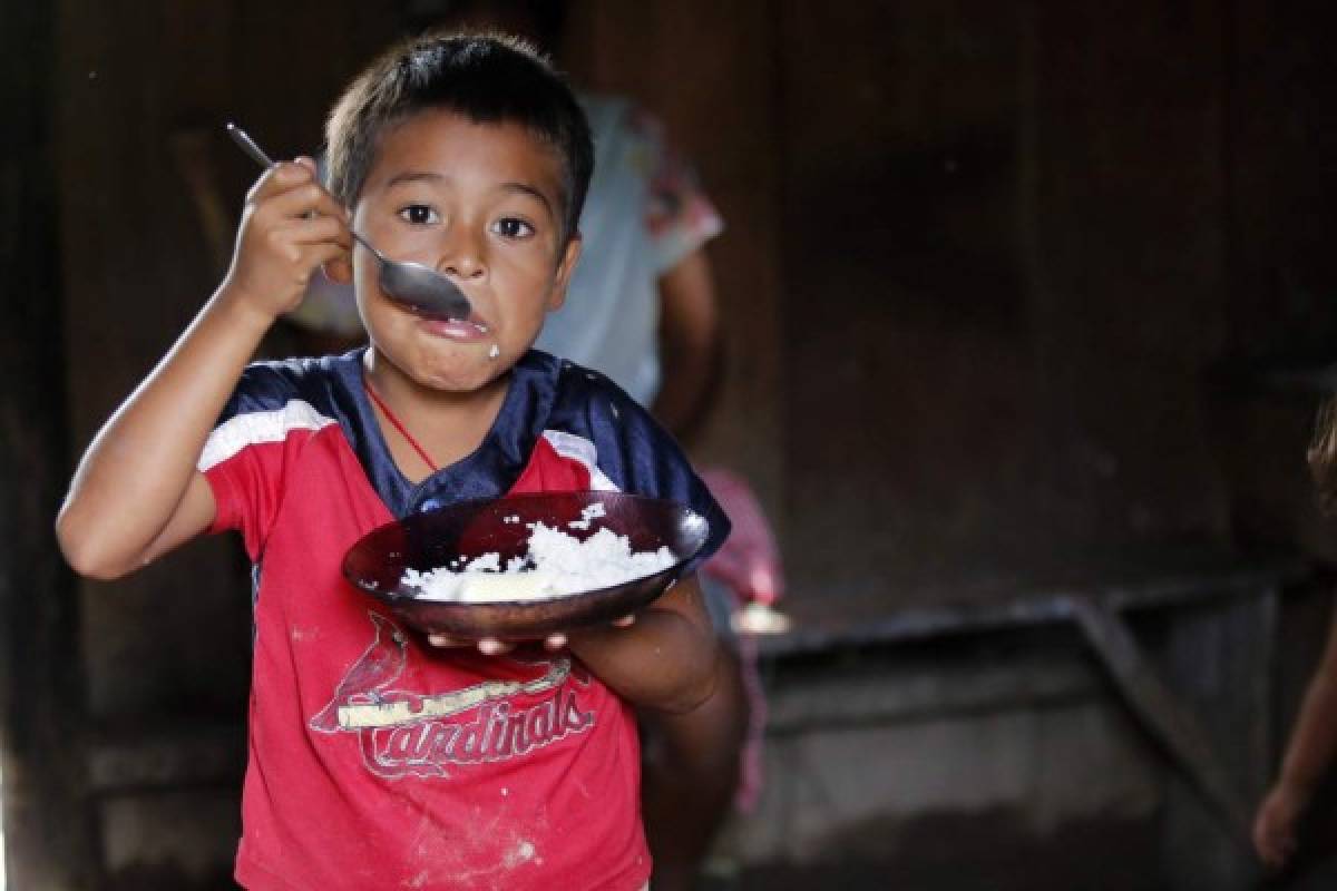 Pretenden nutrir a la niñez para que tenga mejor rendimiento escolar y con ello evitar la deserción de los centros educativos (Foto: Marvin Salgado/EL HERALDO)