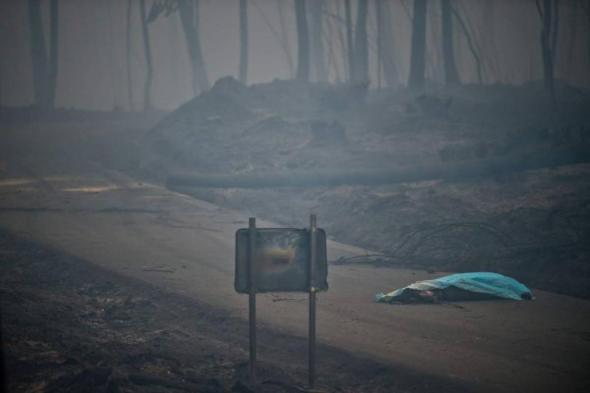 Incendio forestal en Portugal deja 62 muertos y decenas de heridos