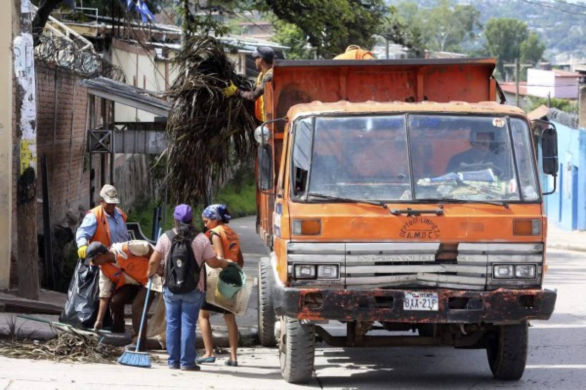 Intensa jornada contra dengue en 2,200 casas