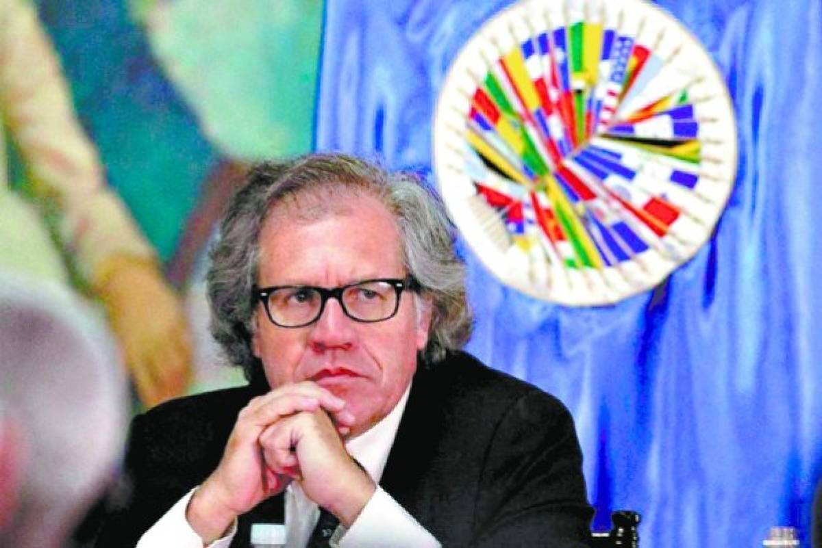 OEA dará asesoría para impulsar las reformas electorales